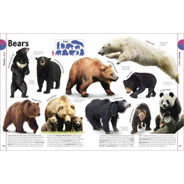 The Animal Book A Visual Encyclopedia for Kids