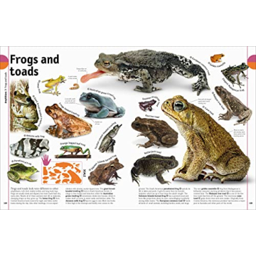 The Animal Book A Visual Encyclopedia for Kids