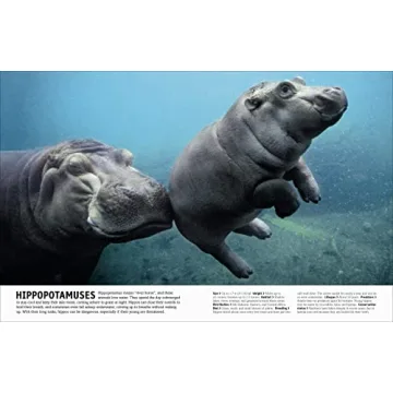 The Animal Book A Visual Encyclopedia for Kids