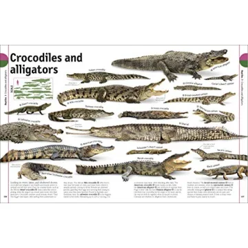 The Animal Book A Visual Encyclopedia for Kids