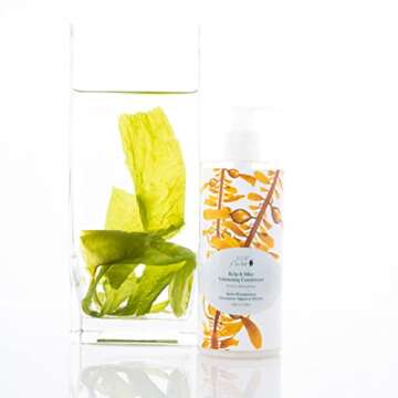 100% PURE Kelp & Mint Volumizing Conditioner Moisturizer & Deep Hydration - Natural Body Boost for Dry, Damaged Thinning Hair, Promotes Healthy Growth for Women & Men - Sulfate Free - 13 Fl Oz