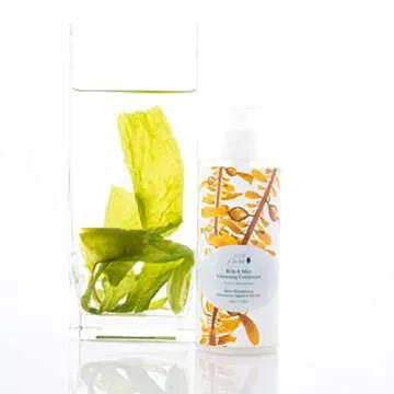 100% PURE Kelp & Mint Volumizing Conditioner Moisturizer & Deep Hydration - Natural Body Boost for Dry, Damaged Thinning Hair, Promotes Healthy Growth for Women & Men - Sulfate Free - 13 Fl Oz