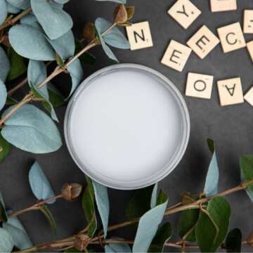 Dixie Belle Paint Company Chalk Finish Furniture Paint | Manatee Gray (16oz) | Matte Light Gray Chic Chalk Mineral Paint | DIY Furniture Paint