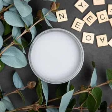 Dixie Belle Paint Company Chalk Finish Furniture Paint | Manatee Gray (16oz) | Matte Light Gray Chic Chalk Mineral Paint | DIY Furniture Paint