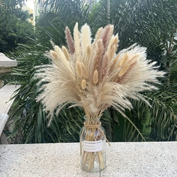 Natural Dried Pampas Grass 110 pcs for Home Decor