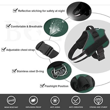 Bolux Dog Harness - Comfort & Safety for Medium Dogs in Dark Green