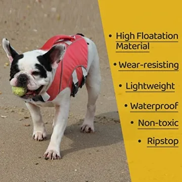 Durable Ripstop Dog Life Jacket for Safe Summer Fun