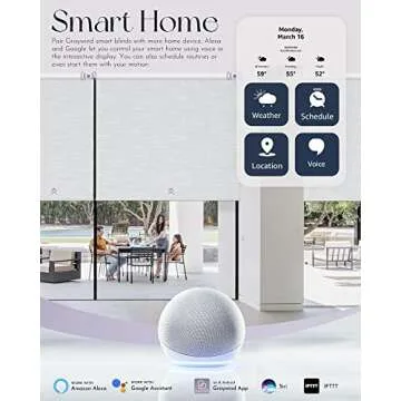 Graywind Motorized Roller Shade 100% Blackout Compatible with Alexa Google Smart Home Control Hardwi...