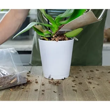 Houseplant Mulch for Indoor Gardening, 2 Quarts of Beauty