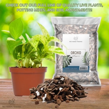 Houseplant Mulch for Indoor Gardening, 2 Quarts of Beauty