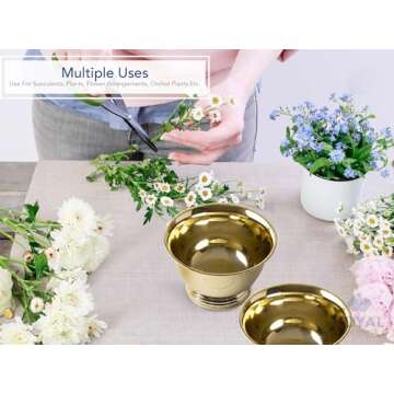 Royal Imports 8" Decorative Plastic Planter Pedestal Bowl- Flower Pot Cover, Footed Succulent Dish for Wedding, Party, Garden, Home and Holiday Decor, Gold, 2 Pack