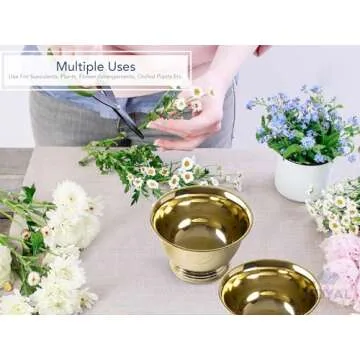 Royal Imports 8" Decorative Plastic Planter Pedestal Bowl- Flower Pot Cover, Footed Succulent Dish for Wedding, Party, Garden, Home and Holiday Decor, Gold, 2 Pack