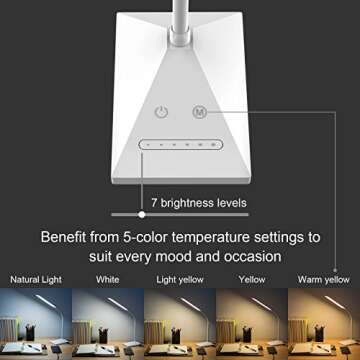 RAOYI LED Desk Lamp, 12W Dimmable Table Lamp Eye-Caring Reading Light with USB Charging Port Touch C...