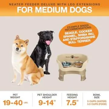 Neater Feeder Deluxe Mess Proof Dog Bowls Elevated Medium Sized Dog – Made in USA – No Spill Raised Dog Food Bowl Stand w/Leg Extensions – Stainless Steel Dog Food and Water Bowl Set – Beige