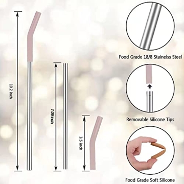 Tronco Set of 6 Eco-Friendly Stainless Steel Straws