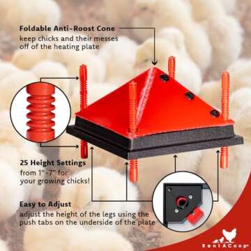RentACoop 12x12 Inch Adjustable Heating Plate with Bonus Foldable Anti-Roost Cone for up to 20 Chicks | Small Chick Brooder Heat Plate – Energy-Efficient and Safer Than Heat Lamps