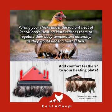 RentACoop 12x12 Inch Adjustable Heating Plate with Bonus Foldable Anti-Roost Cone for up to 20 Chicks | Small Chick Brooder Heat Plate – Energy-Efficient and Safer Than Heat Lamps