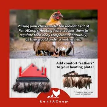 RentACoop 12x12 Inch Adjustable Heating Plate with Bonus Foldable Anti-Roost Cone for up to 20 Chicks | Small Chick Brooder Heat Plate – Energy-Efficient and Safer Than Heat Lamps