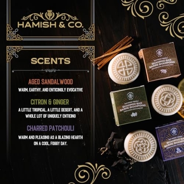 Natural Whiskey-Infused Conditioner Bar for Men by Hamish & Co.