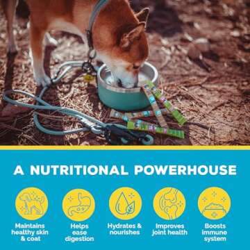 Brutus Bone Broth - Natural Dog Sauce for Picky Eaters