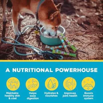 Brutus Bone Broth - Natural Dog Sauce for Picky Eaters