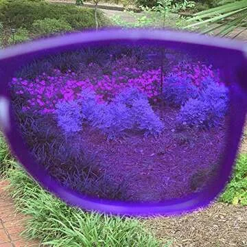 Purple Color Therapy Glasses for Chakra Healing, Chromotherapy, and Mood