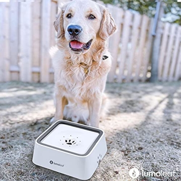 LumoLeaf 70oz No Spill Dog Water Bowl for Pets