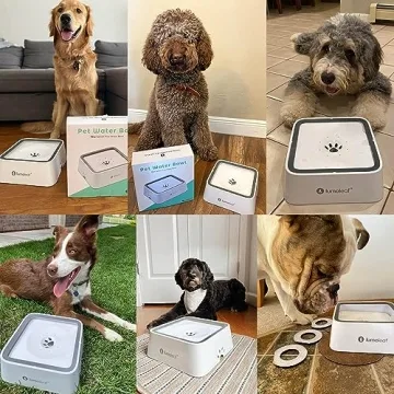 LumoLeaf 70oz No Spill Dog Water Bowl for Pets