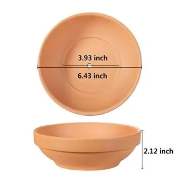 Terra Cotta Pots, Laergin 6.43 Inch Shallow Terra Cotta Clay Pots with Drain Hole Terra Cotta Plant ...