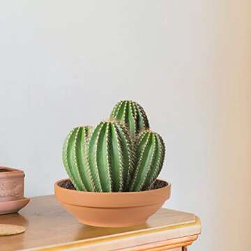 Durable Laergin 6.43 Inch Terra Cotta Pots Set of 6