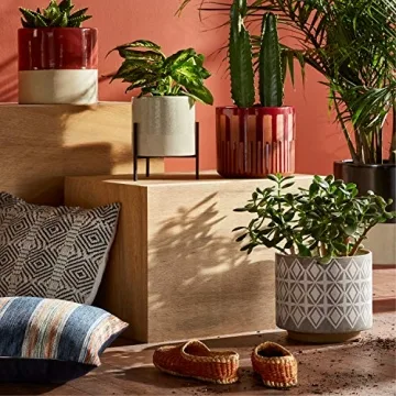 Stylish Rivet Geometric Ceramic Planter for Home Office