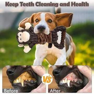 Letsmeet Dog Squeak Plush Toy for All Dogs Playtime