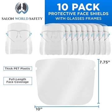 Salon Safety Face Shields with Glasses – TCP Global