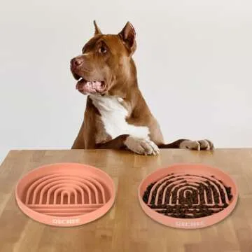 RICHIE Slow Feeder Silicone Dog Bowl - Non-Slip & Safe