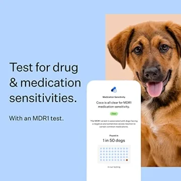 Wisdom Panel Dog DNA Kit for Accurate Breed Identification