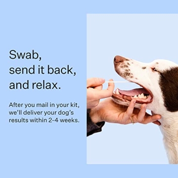 Wisdom Panel Dog DNA Kit for Accurate Breed Identification