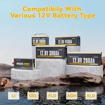 Power Queen 2000W Pure Sine Wave Inverter for All Needs