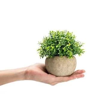 Velener 2Pcs Mini Artificial Boxwood Topiary Faux Plants Indoor- Small Fake Plants Decor Magnolia Home Office Desk Cubicle Farmhouse Kitchen Bookshelf Bedroom Bathroom Decor, Aloe Vera Zen Garden