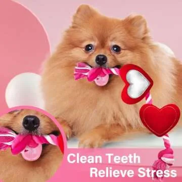 Lepawit Valentine's Day Dog Toys, Durable Dog Rope Toys with Plush Squeaky Heart, Tug of War Dog Toy...