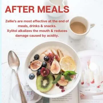 Zellie's Xylitol Sugar Free Cinnamon Gum - 240 Count