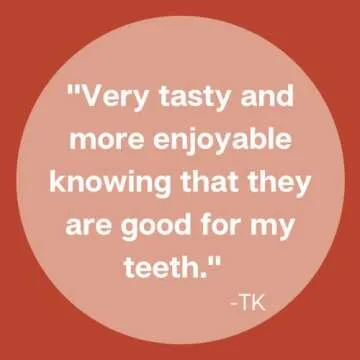 Zellie's Xylitol Sugar Free Cinnamon Gum - 240 Count