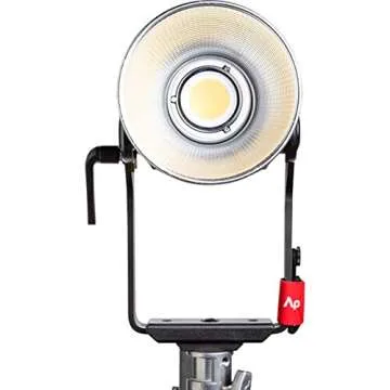 Aputure 600D Video Light: 600W Daylight LED for Professionals