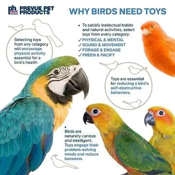 Prevue Pet Products 3-Box Stuff & Hide - Playfuls Forage & Engage Bird Toy 60246