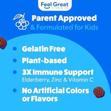 Feel Great Vitamin Co. Elderberry Gummies for Kids | Immune Support | Natural Antioxidant Immune Booster | with Vitamin C and Zinc | Gluten Free & Vegetarian | 90 Gummies