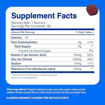 Feel Great Vitamin Co. Elderberry Gummies for Kids | Immune Support | Natural Antioxidant Immune Booster | with Vitamin C and Zinc | Gluten Free & Vegetarian | 90 Gummies