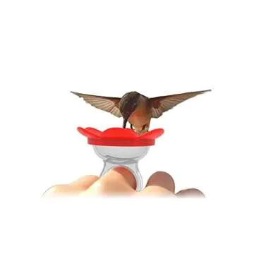 ZUMMR Hummingbird Ring Feeder (Red) - Hand Feed Hummingbirds Right in Your Backyard. Get up Close and Personal with Nature. Proudly Made in The U.S.A. - The Original