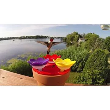 ZUMMR Hummingbird Ring Feeder (Red) - Hand Feed Hummingbirds Right in Your Backyard. Get up Close and Personal with Nature. Proudly Made in The U.S.A. - The Original