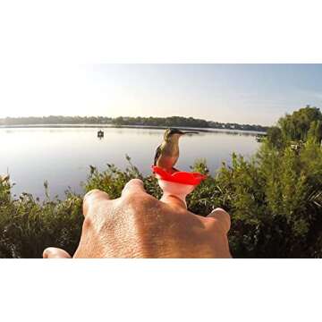 ZUMMR Hummingbird Ring Feeder (Red) - Hand Feed Hummingbirds Right in Your Backyard. Get up Close and Personal with Nature. Proudly Made in The U.S.A. - The Original