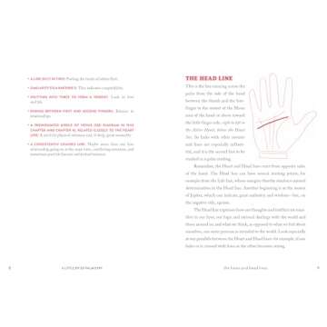 Discover Palmistry with This Easy Beginner's Guide