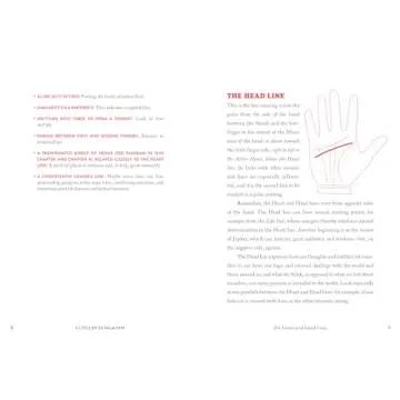 Discover Palmistry with This Easy Beginner's Guide